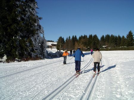 Langlauf in Sankt Andreasberg