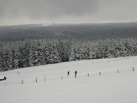 Langlauf in Altenau